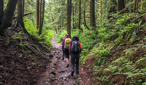 Hiking in a Forest in Vancouver